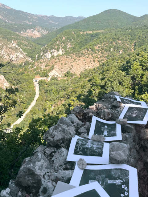 blog-2026-55